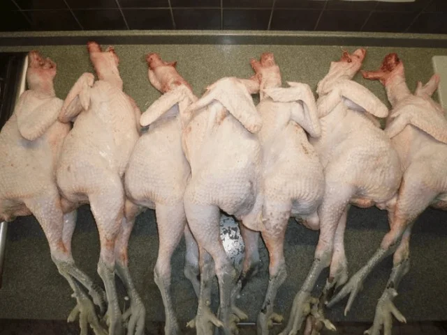 Почему в СССР куры продавались с лапками и головами