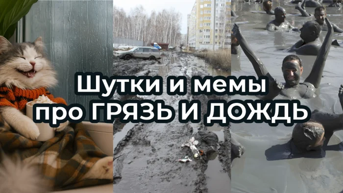 Осенний юмор: подборка шуток