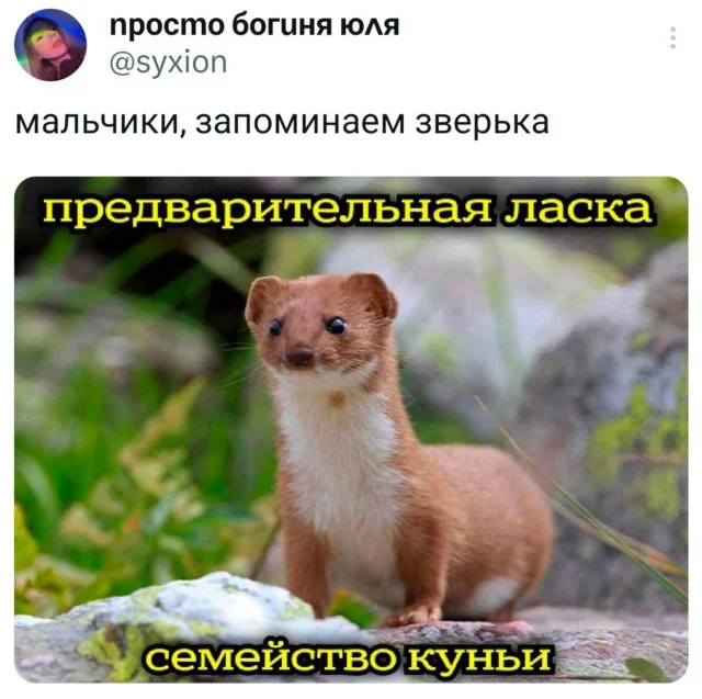 Прикольные мемы для взрослых