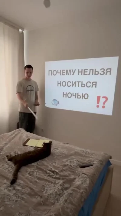 Кототренинг