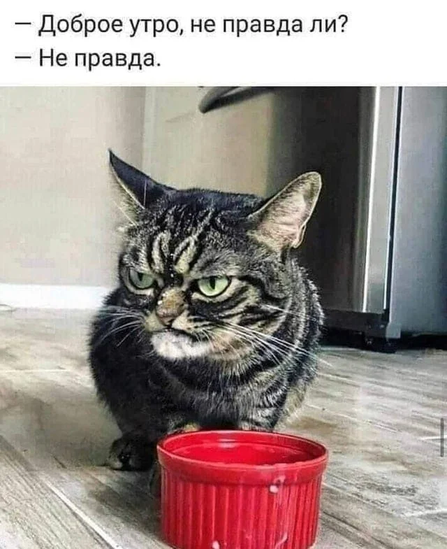 С доброй утрой!