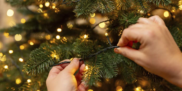 Свет в окне и на фасаде: какую гирлянду выбрать для дома и улицы, чтобы не прогадать?