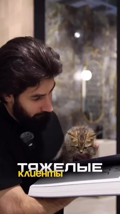 Котики снова в тренде — пример вирусной рекламы без ИИ