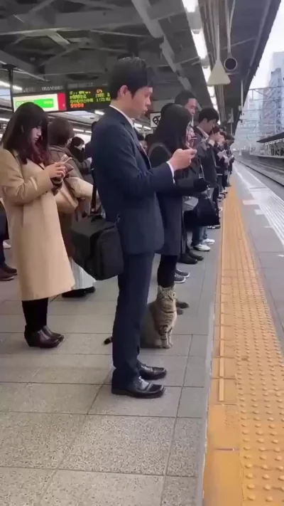 Странная жизнь