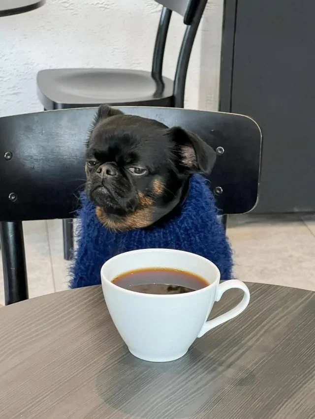 Знакомьтесь: Унылый Чарли — персонаж, ставший новой звездой сети