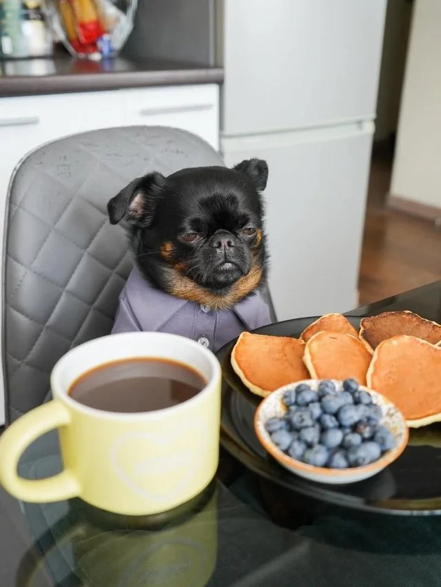Знакомьтесь: Унылый Чарли — персонаж, ставший новой звездой сети