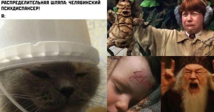 Мемы о Гарри Поттере, от которых даже Волан-де-Морт бы рассмеялся