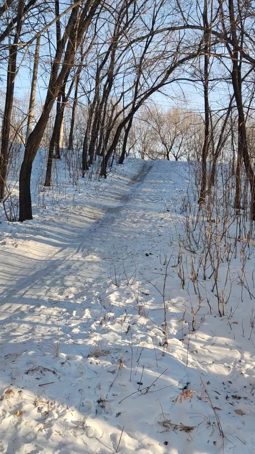 Суровая горка