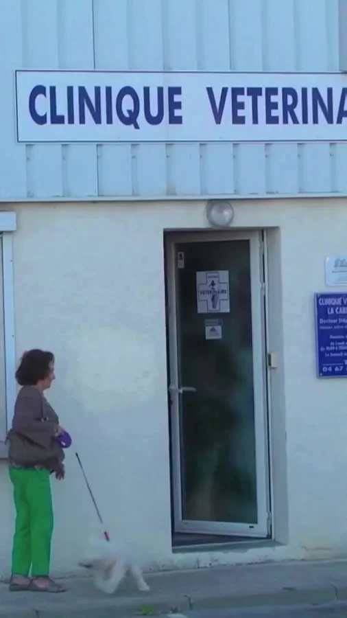 Ветеринарная клиника