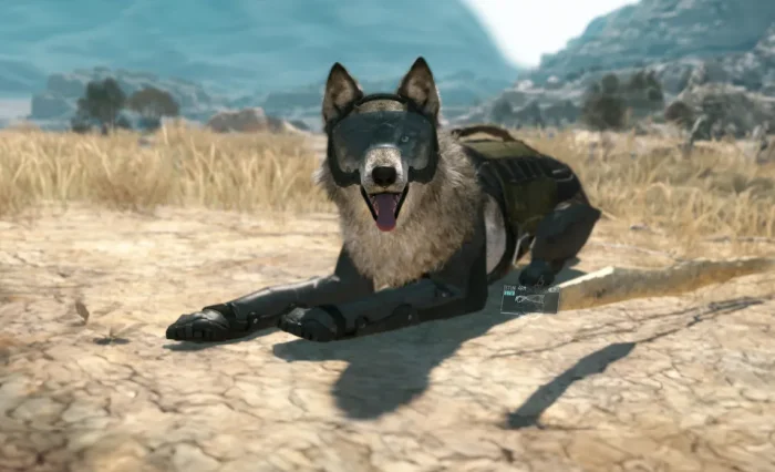 10 игр, где можно гладить кошек, собак и других животных.