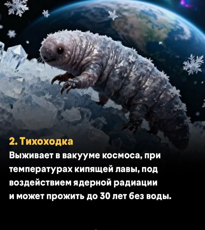 10 животных, способности которых не может объяснить даже наука