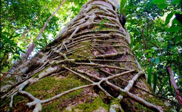 15 невероятных мест, которые сложно поверить, что существуют