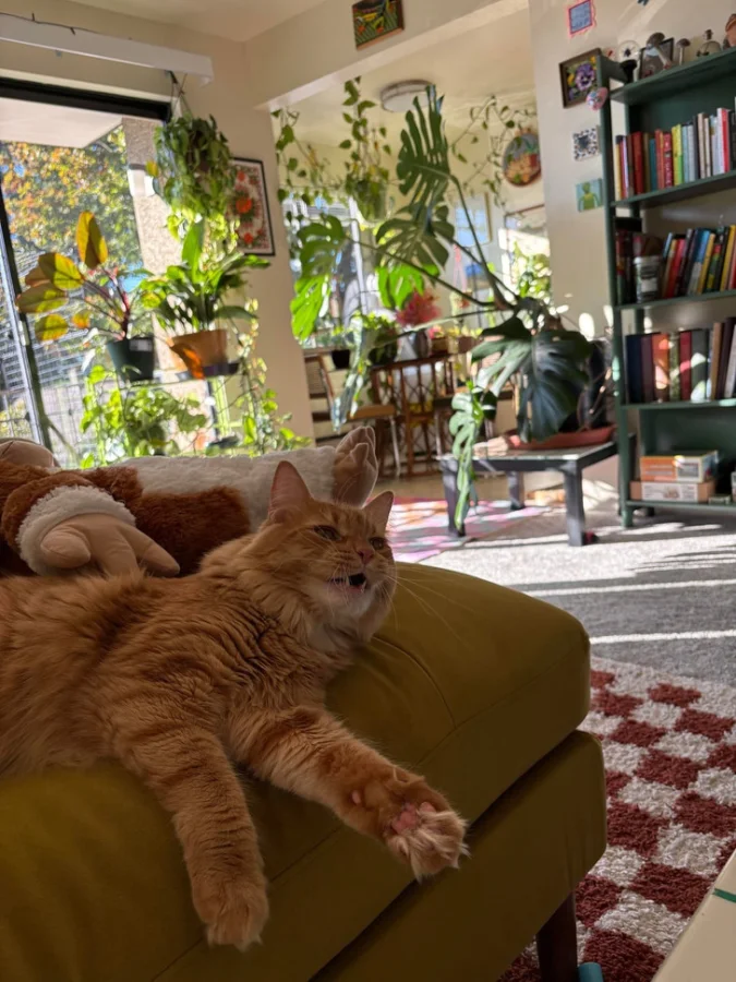 17 примеров уютного дизайна дома, сделанного с любовью