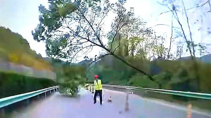 Суровый осенний китайский листопад