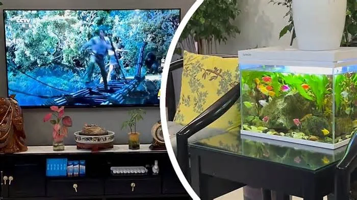 Рыбы смотрят фильм по телеку