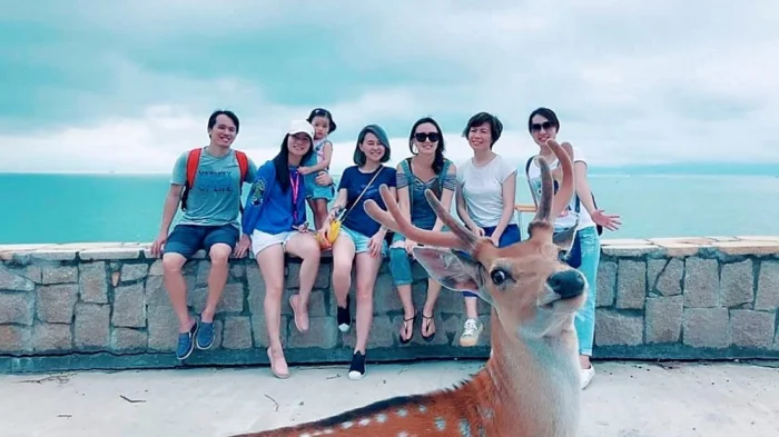 Свежее на общую тему