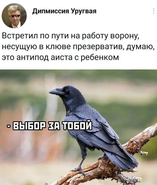 Классные мемы