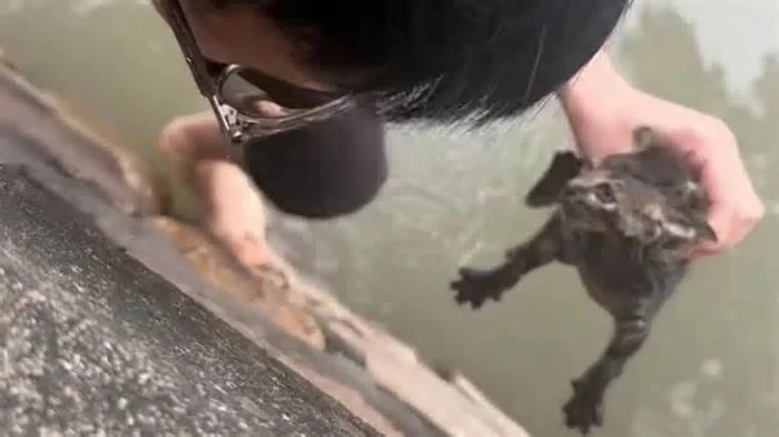 Добрый шанхайский китаец спас котенка из реки