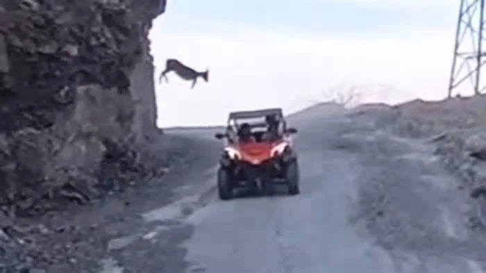 И так у них всегда...