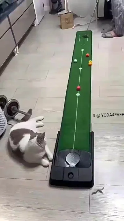 Друг всегда поможет