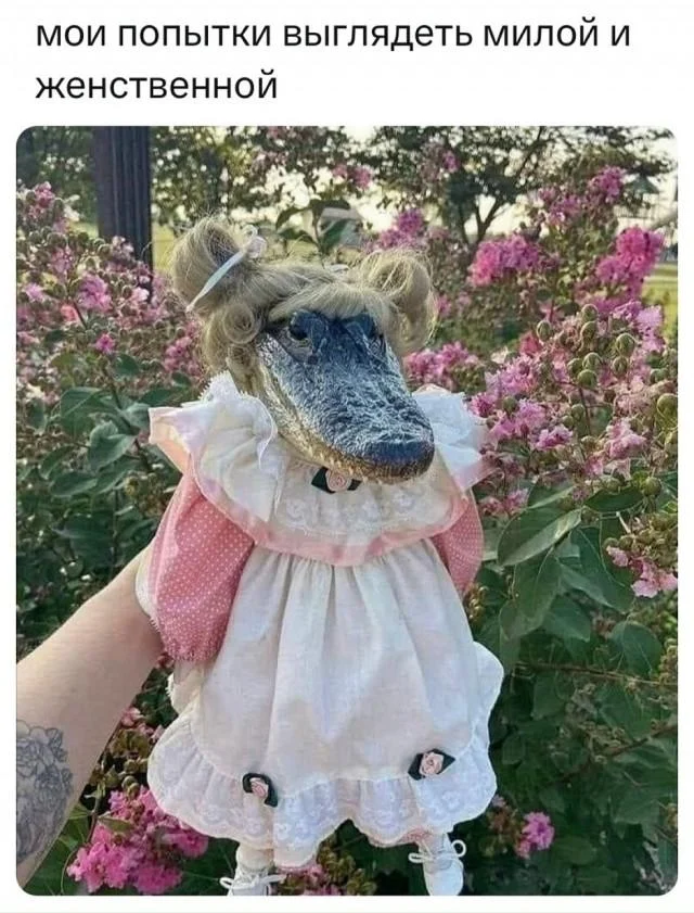 Картинки для хорошего настроения