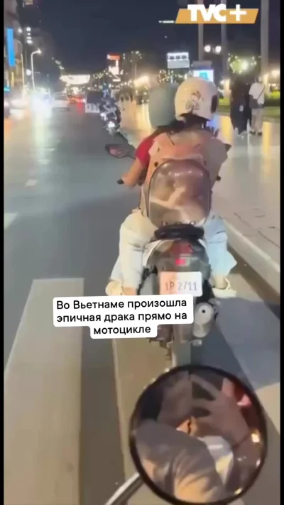 Эпичная драка котиков