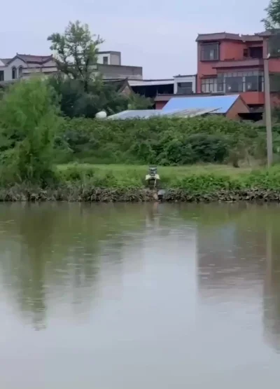 Шерстяной промысел