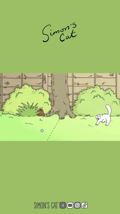 Войны за территорию