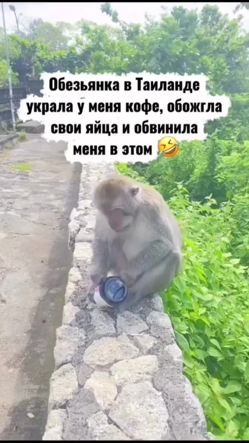 Нет, ты посмотри! Отжала кофе, ещё и недовольна