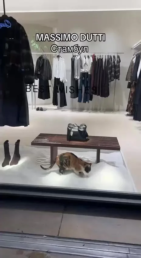 А я думал что это лоток