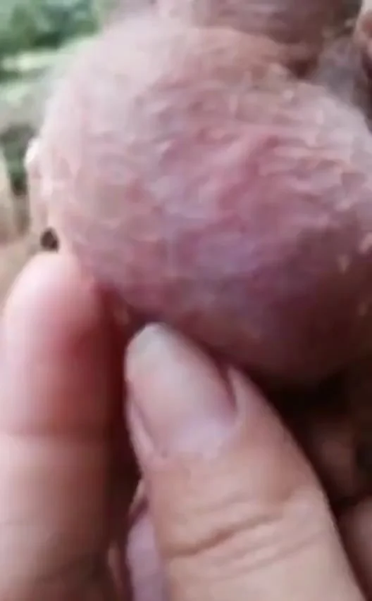 А вы о чем подумали?