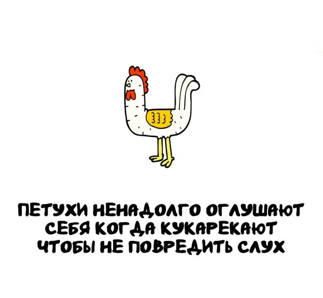 А вы знали? Подборка невероятных фактов!