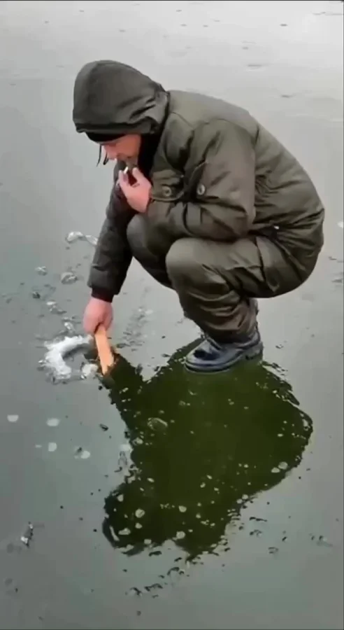 Шикарная трофейная щука