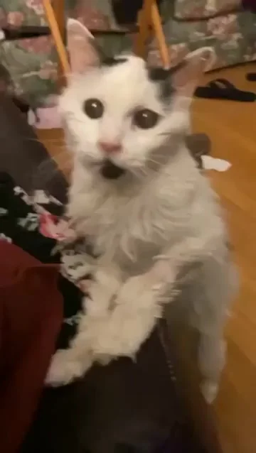 Старичок, 29 лет