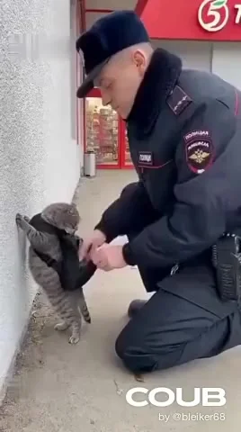 Поймали хулигана