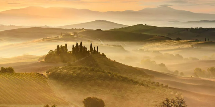 Дикая природа и невероятные пейзажи