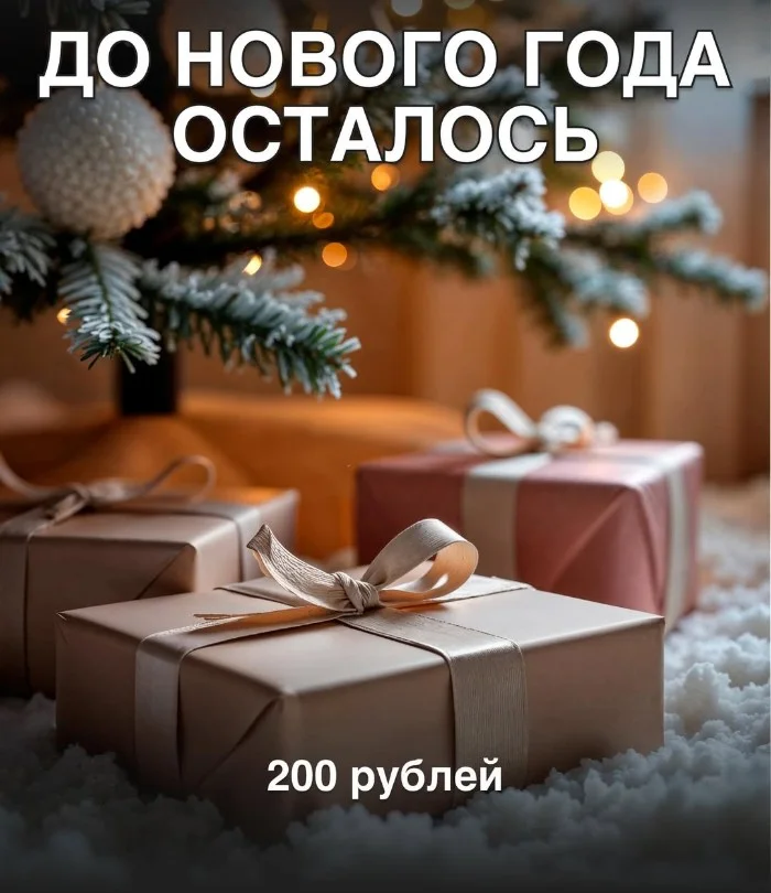 До нового года осталось...