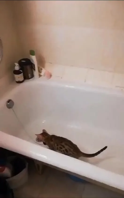 Досада: ценная находка оказалась недоступной