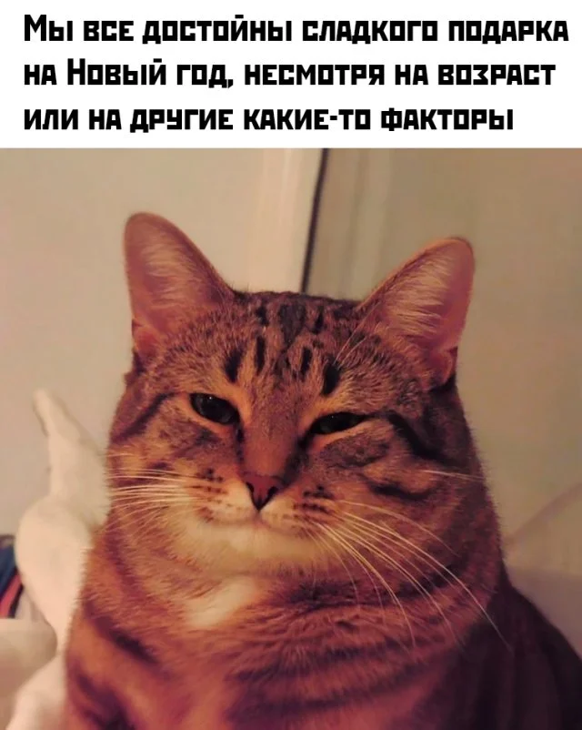 Доза юмора: мемы и шутки, чтобы поднять настроение