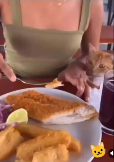 Обманный манёвр