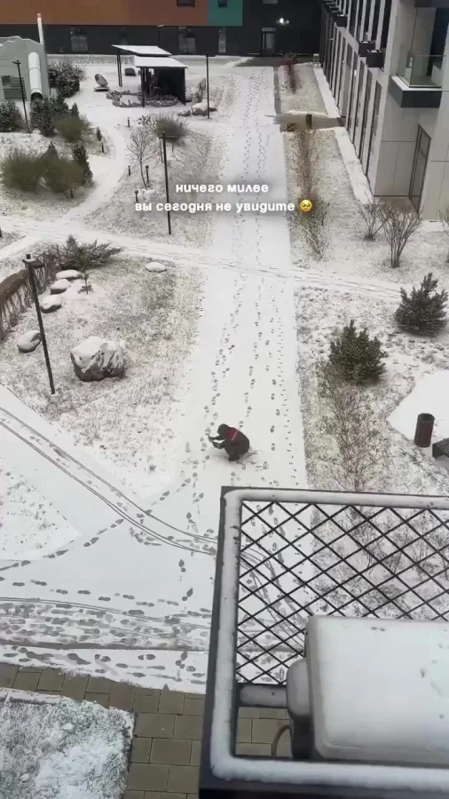 Фотосессия снеговика