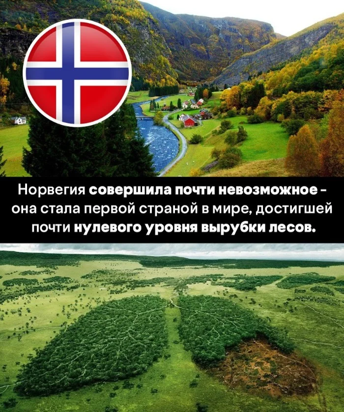 Хорошие новости из разных уголков мира