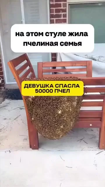 Неужели это не нейросетка сгенерила??