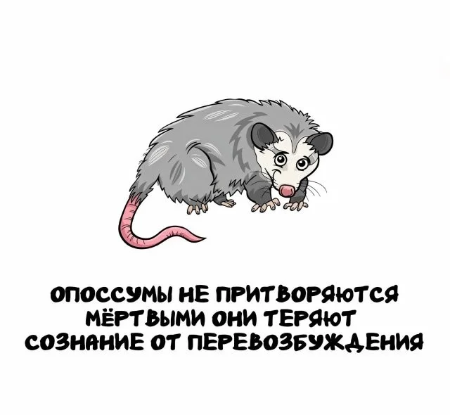 Интересное