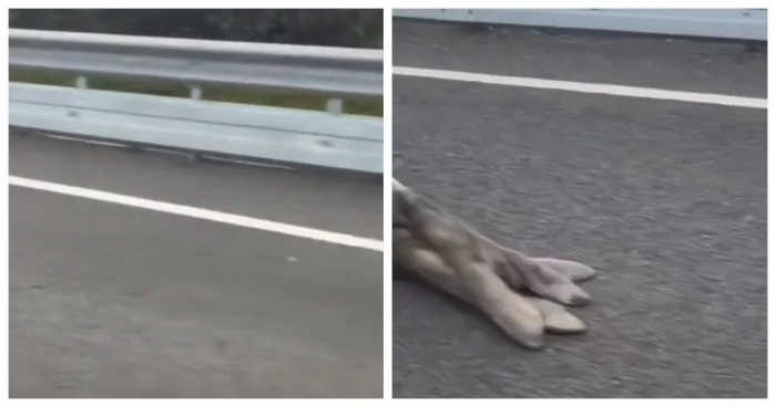 Я тут полежу