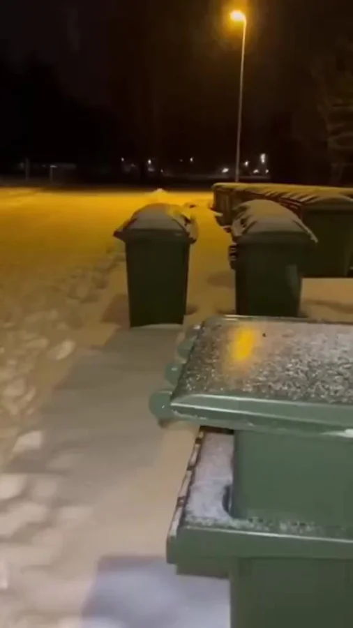 Эпический провал...