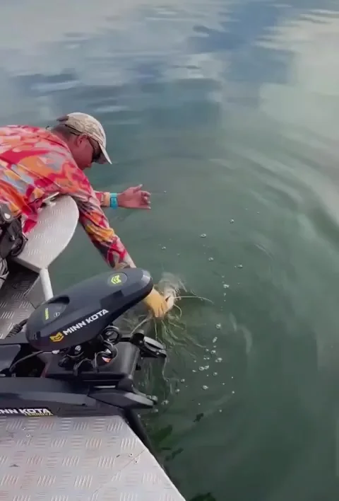 Это моя добыча