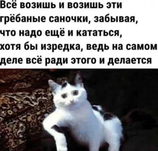 Юмор из Сети