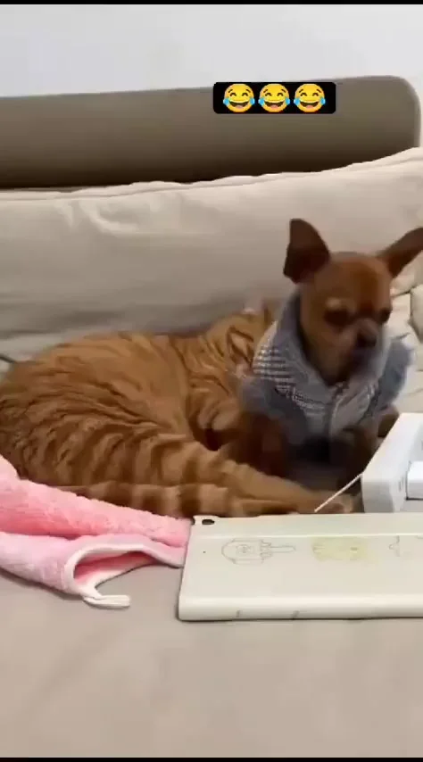 Как отстаивать личные границы