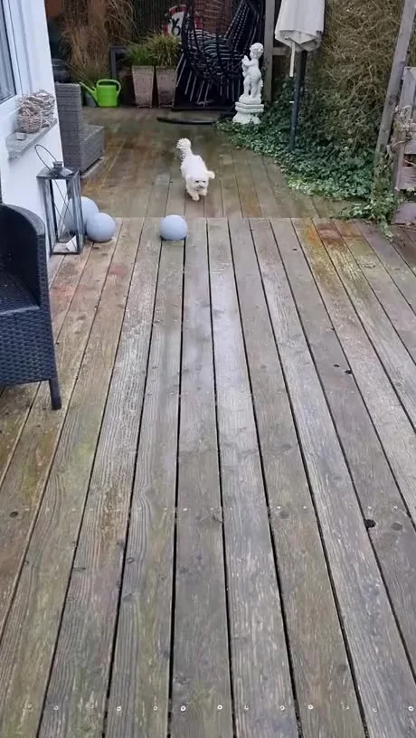 Какой воспитанный мальчик